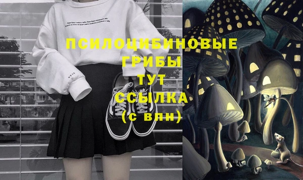 шишки Вязники