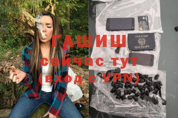 стаф Володарск