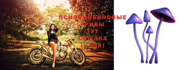 соль курить ск Шали